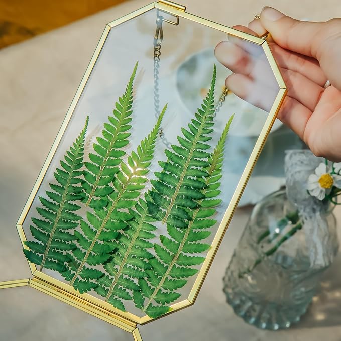 Goldfarbener Glasrahmen mit gepressten Farnblättern, achteckige Form mit Metallkette zum Aufhängen – dekorativ in der Hand gehalten, vor einem Hintergrund mit Glasvase und Gänseblümchen